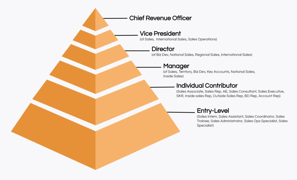 sales job title hierarchy