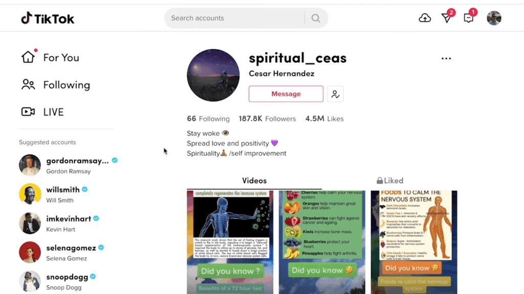 TikTok affiliate account example