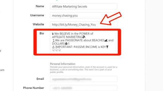 Instagram affiliate marketing bio example